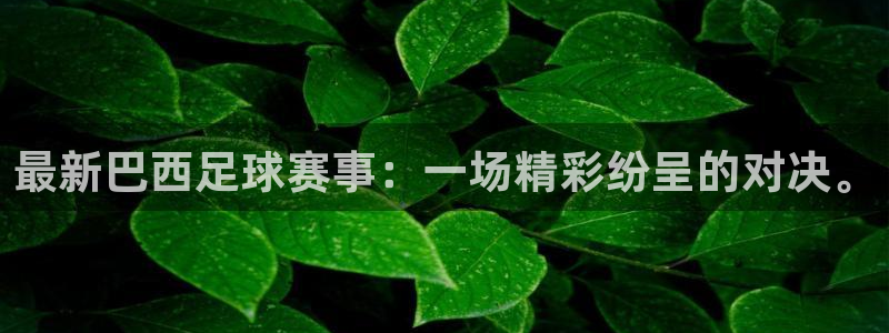 最新巴西足球赛事：一场精彩纷呈的对决。