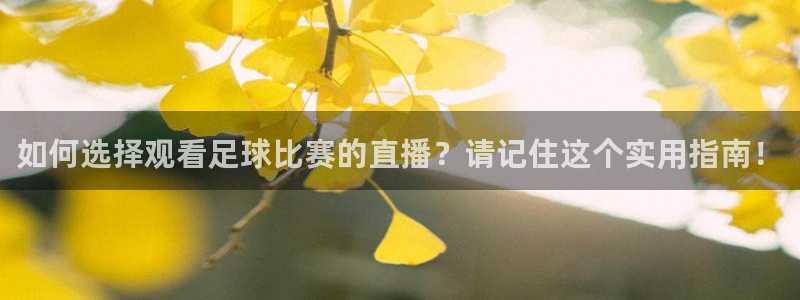 如何选择观看足球比赛的直播？请记住这个实用指南！