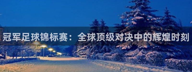 冠军足球锦标赛：全球顶级对决中的辉煌时刻