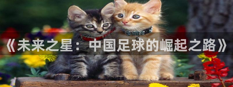 《未来之星：中国足球的崛起之路》