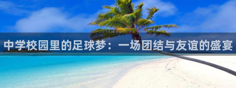 中学校园里的足球梦：一场团结与友谊的盛宴