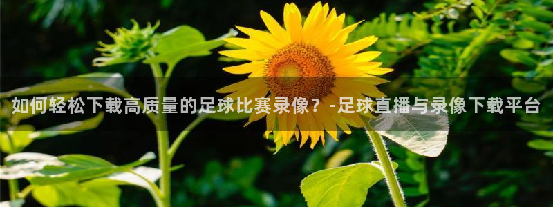  如何轻松下载高质量的足球比赛录像？-足球直播与录像下载平台