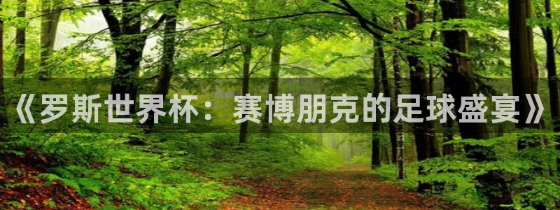  《罗斯世界杯：赛博朋克的足球盛宴》
