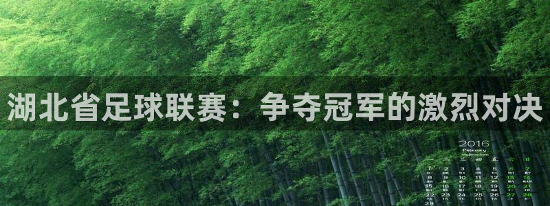 湖北省足球联赛：争夺冠军的激烈对决