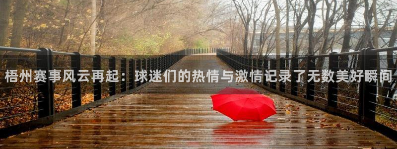 梧州赛事风云再起：球迷们的热情与激情记录了无数美好瞬间