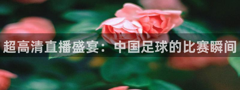  超高清直播盛宴：中国足球的比赛瞬间