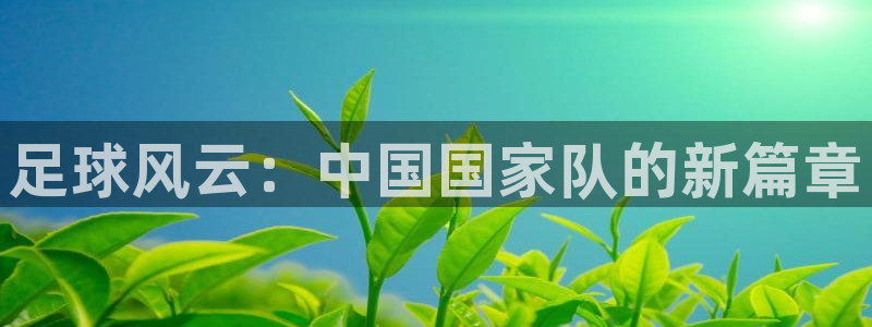  足球风云：中国国家队的新篇章