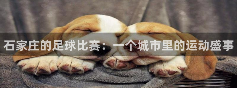 石家庄的足球比赛：一个城市里的运动盛事