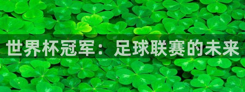  世界杯冠军：足球联赛的未来