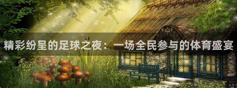 精彩纷呈的足球之夜：一场全民参与的体育盛宴