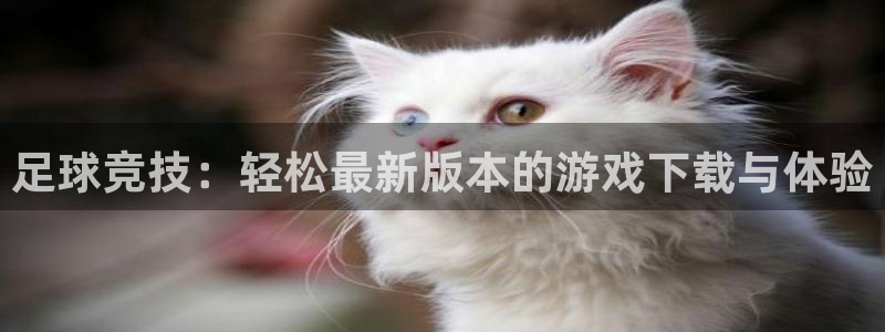 足球竞技：轻松最新版本的游戏下载与体