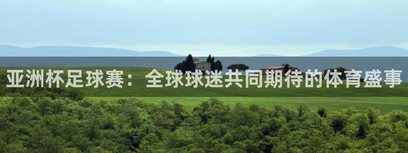 亚洲杯足球赛：全球球迷共同期待的体育