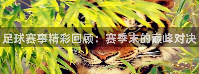 足球赛事精彩回顾：赛季末的巅峰对决