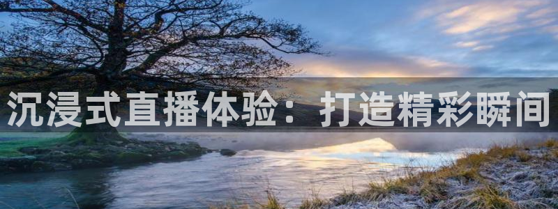 新体球即时比分新球体育