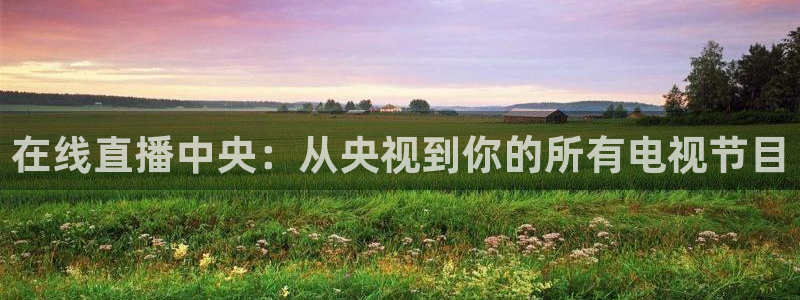 新球体育篮球比分