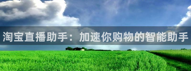 新球体育即时分