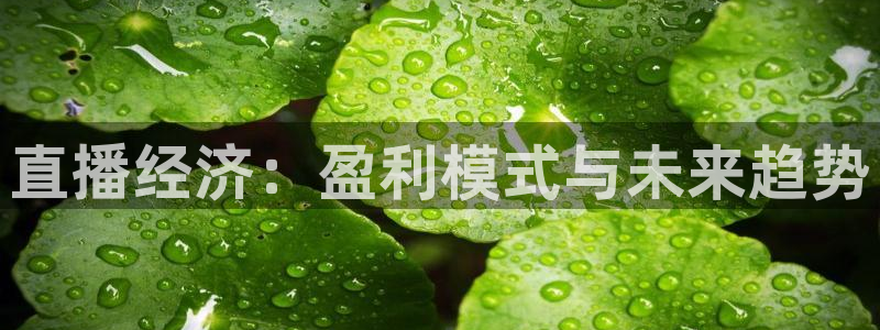 新球足球
