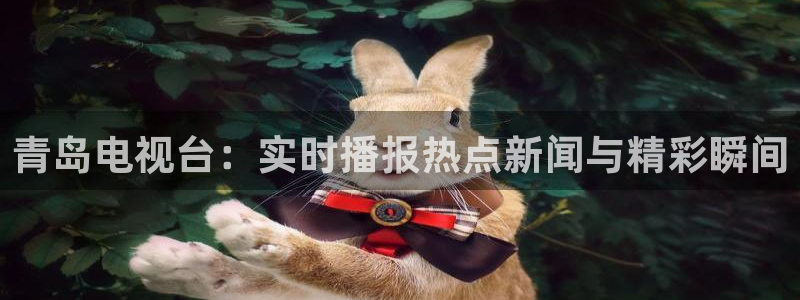 新球体育直播：青岛电视台：实时播报热点新闻与精彩瞬间