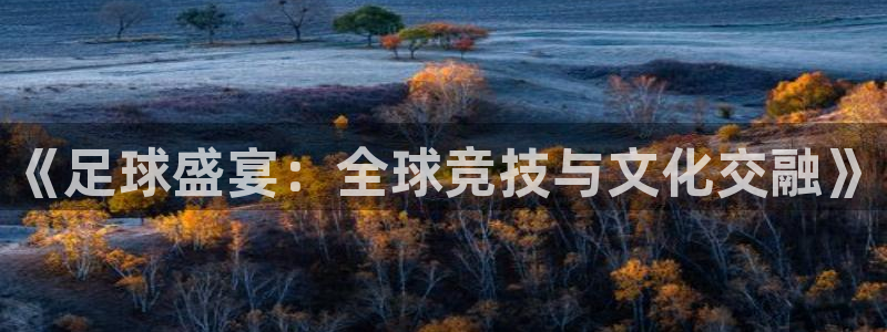 新球体育篮球比分：《足球盛宴：全球竞技与文化交融》