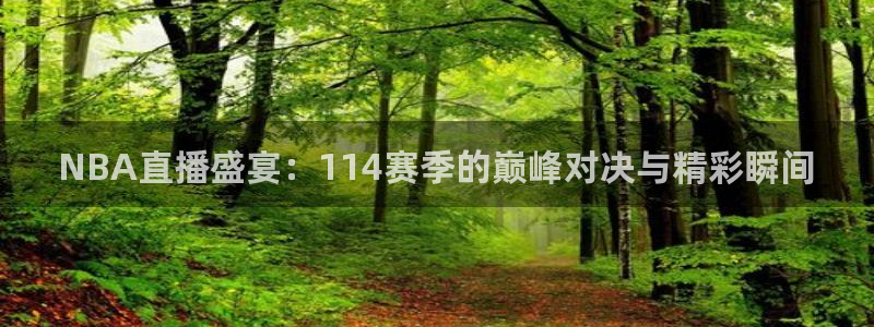 新球体育直播：NBA直播盛宴：114赛季的巅峰对决与精彩瞬间