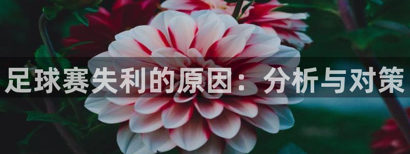 足球赛失利的原因：分析与对策