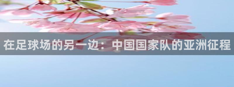 在足球场的另一边：中国国家队的亚洲征