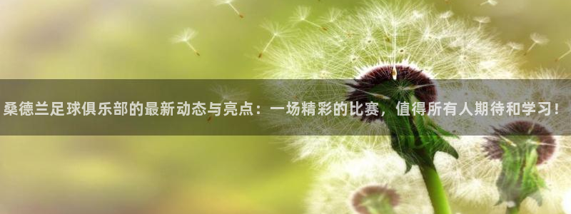 桑德兰足球俱乐部的最新动态与亮点：一