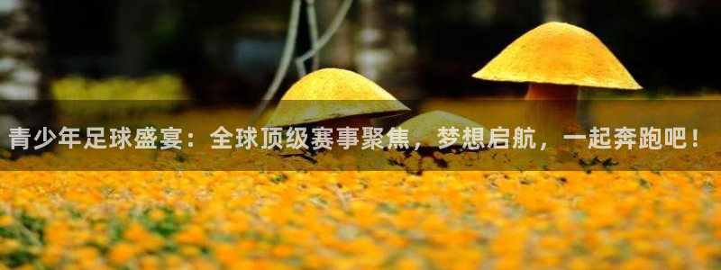 青少年足球盛宴：全球顶级赛事聚焦，梦