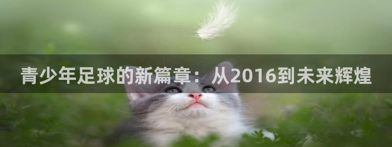 青少年足球的新篇章：从2016到未来