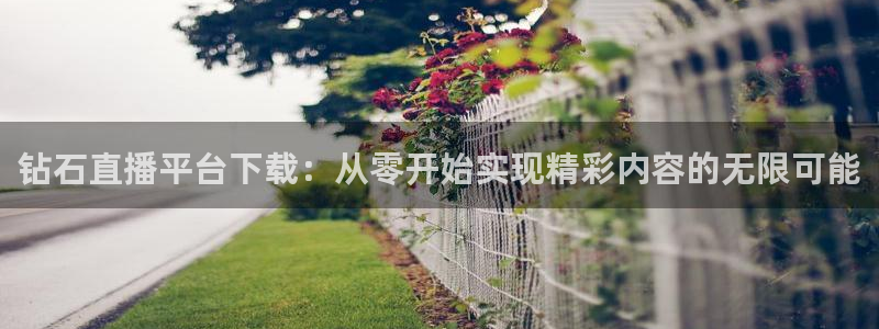 新球体育足球即时比分：钻石直播平台下载：从零开始实现精彩内容的无限可能