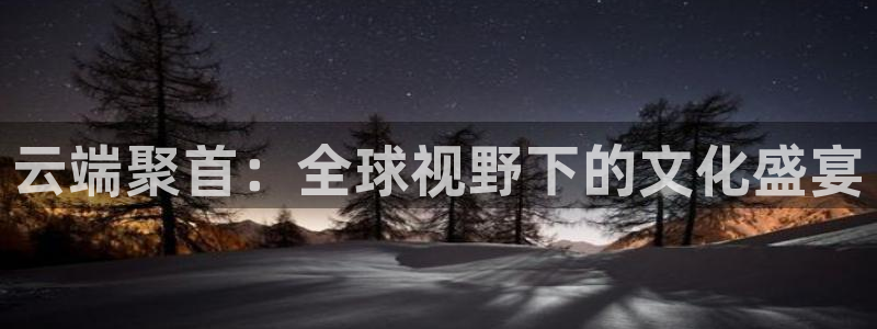 新球：云端聚首：全球视野下的文化盛宴