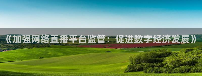 新球体育足球即时比分：《加强网络直播平台监管：促进数字经济发展》