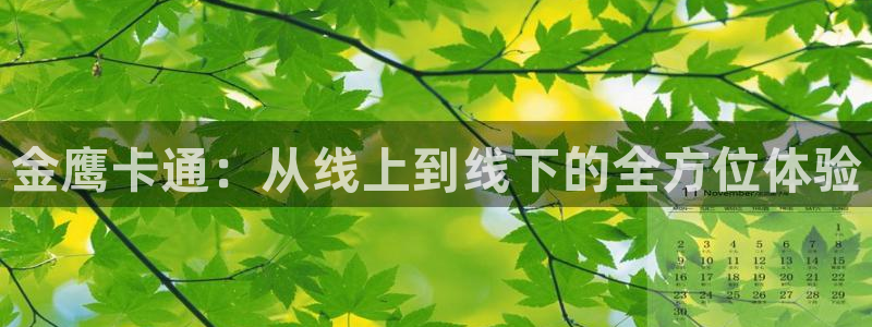 新体球即时比分新球体育：金鹰卡通：从线上到线下的全方位体验
