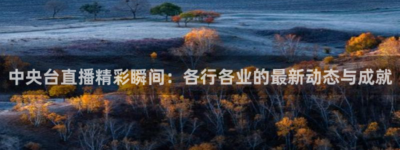 新球足球：中央台直播精彩瞬间：各行各业的最新动态与成就