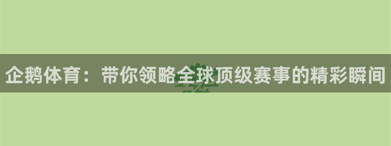 新球体育足球即时比分：企鹅体育：带你领略全球顶级赛事的精彩瞬间