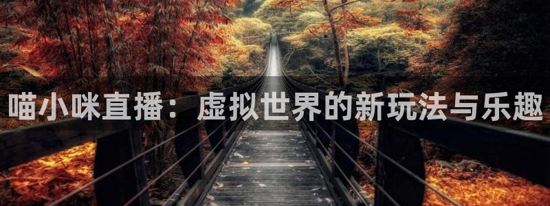 新球体育篮球比分：喵小咪直播：虚拟世界的新玩法与乐趣